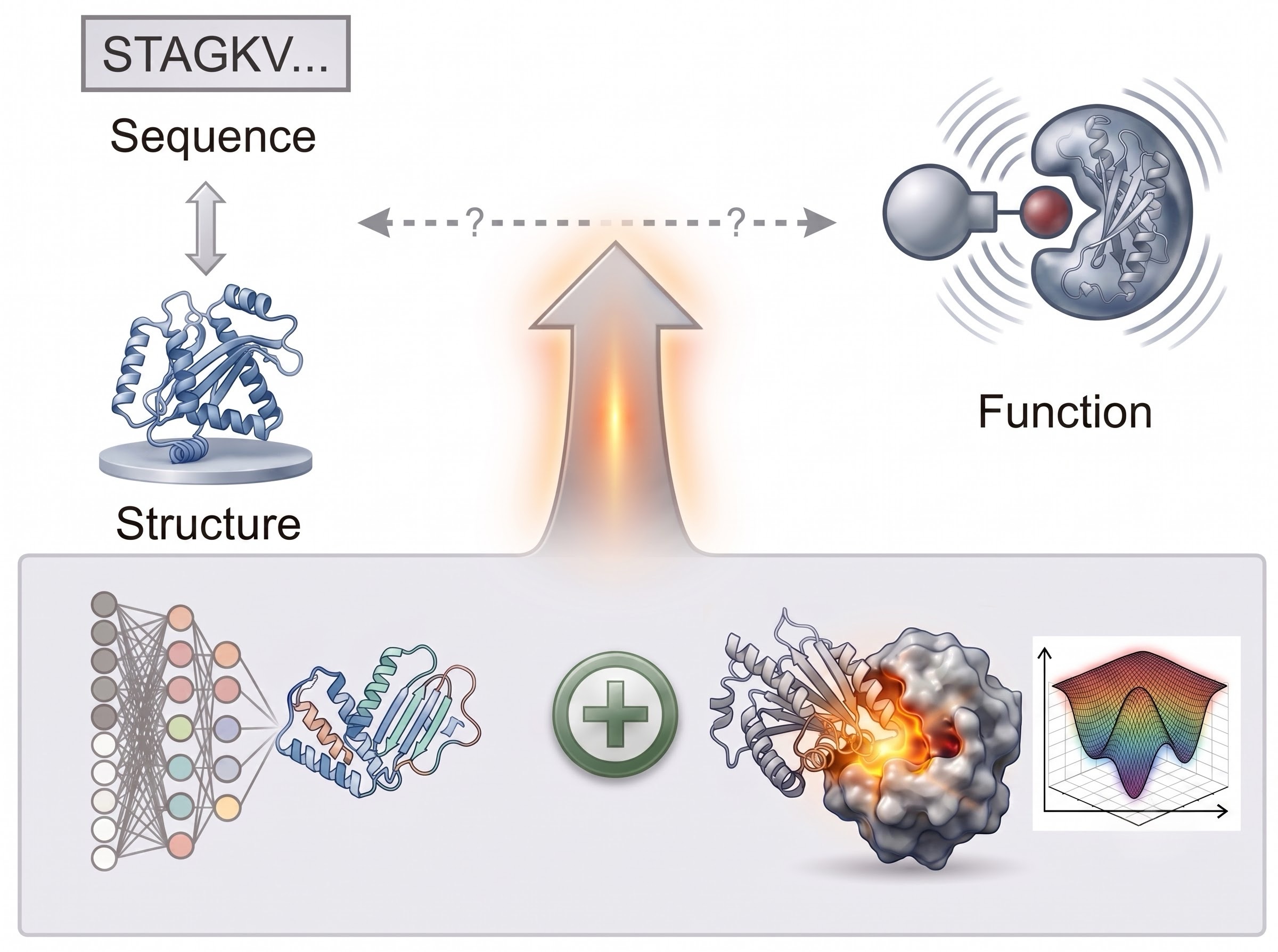 The lab's research thesis: protein sequence and structure are interconvertible and well modeled, but the link to protein function remains unsolved. A data-driven model combined with biophysics forms an integration engine that bridges structure to function.